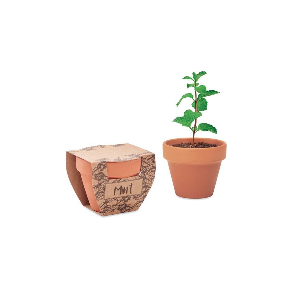 MINT POT