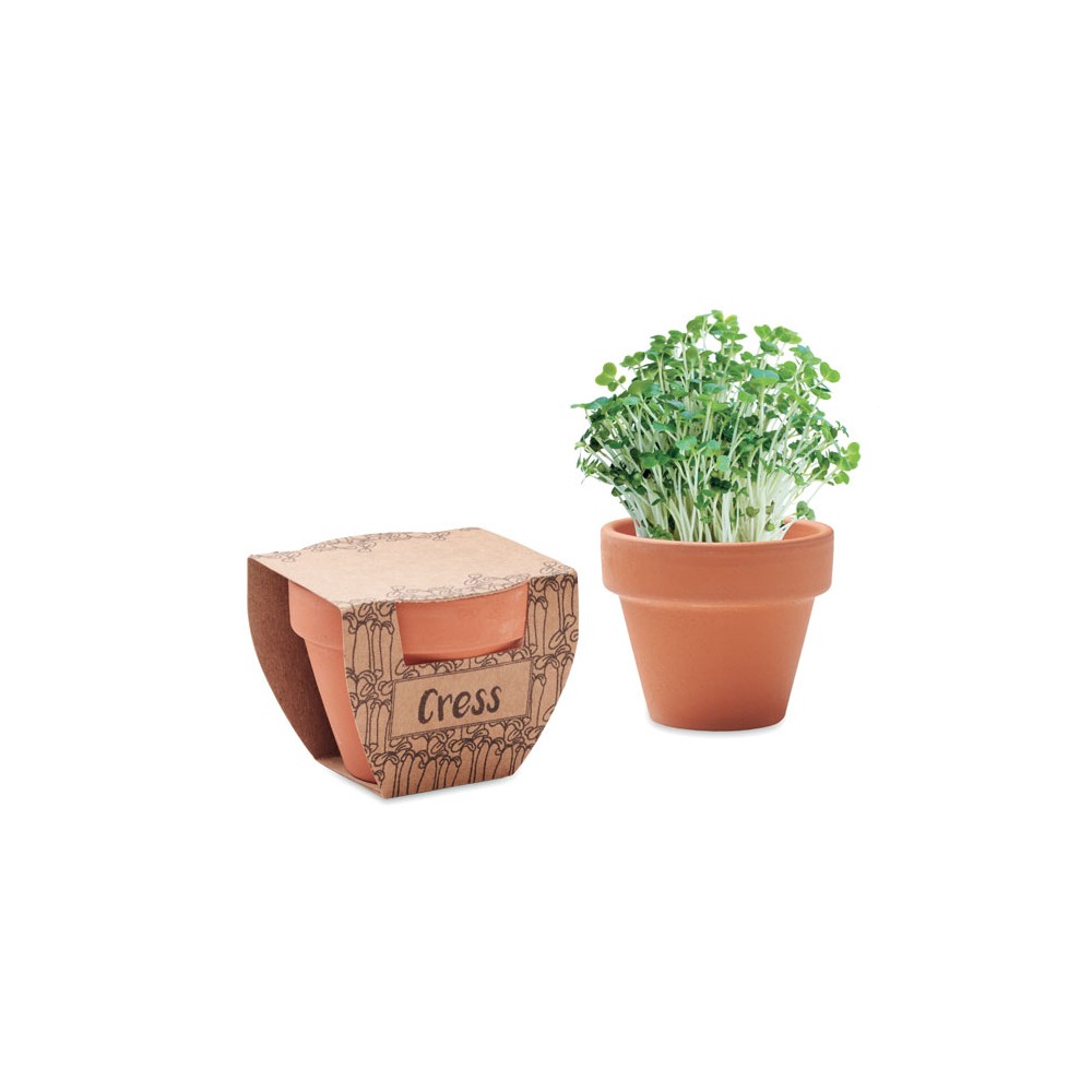 Kresų vazonėlis "CRESS POT"