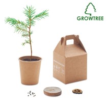 Pušies vazonėlis "GROWTREE"