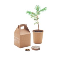 Pušies vazonėlis "GROWTREE"